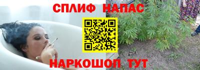 гашишное масло Будённовск