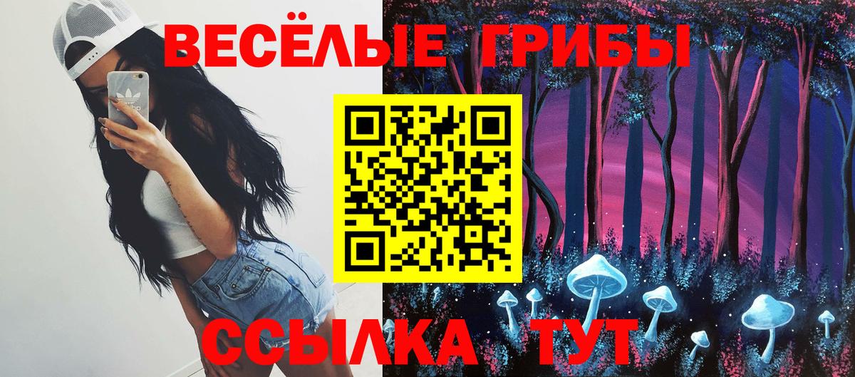 Саров  Псилоцибиновые грибы Magic Shrooms  Вход с VPN  Псилоцибиновые грибы мицелий 