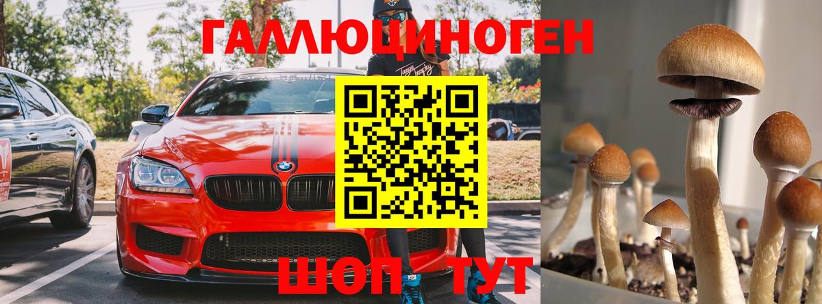 Псилоцибиновые грибы Cubensis Саров